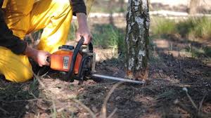 Best Lawn Drainage Solutions  in Lake Ridge, VA