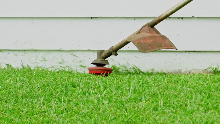 Best Lawn Maintenance Plans  in Lake Ridge, VA