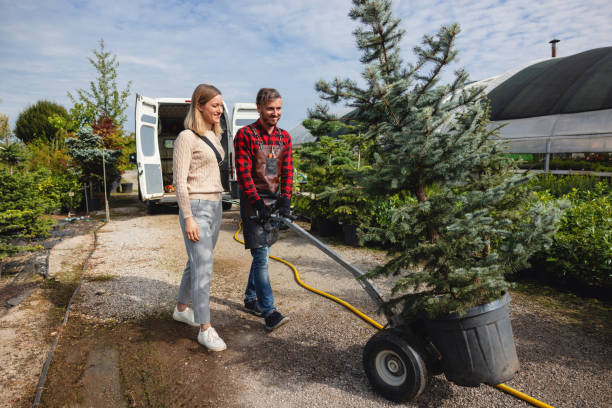 Best Lawn Drainage Solutions  in Lake Ridge, VA